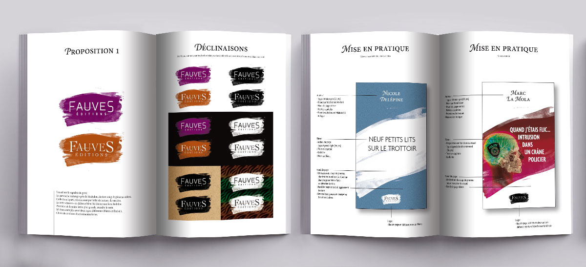 Infographiste indépendant, création de charte graphique, extrait édition livre