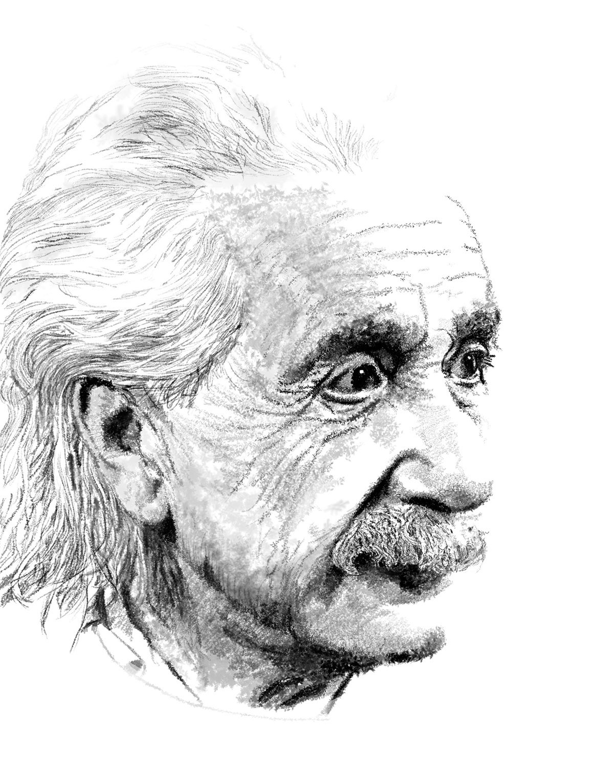 Infographiste indépendant, création d'illustrations, dessin d'Albert Einstein