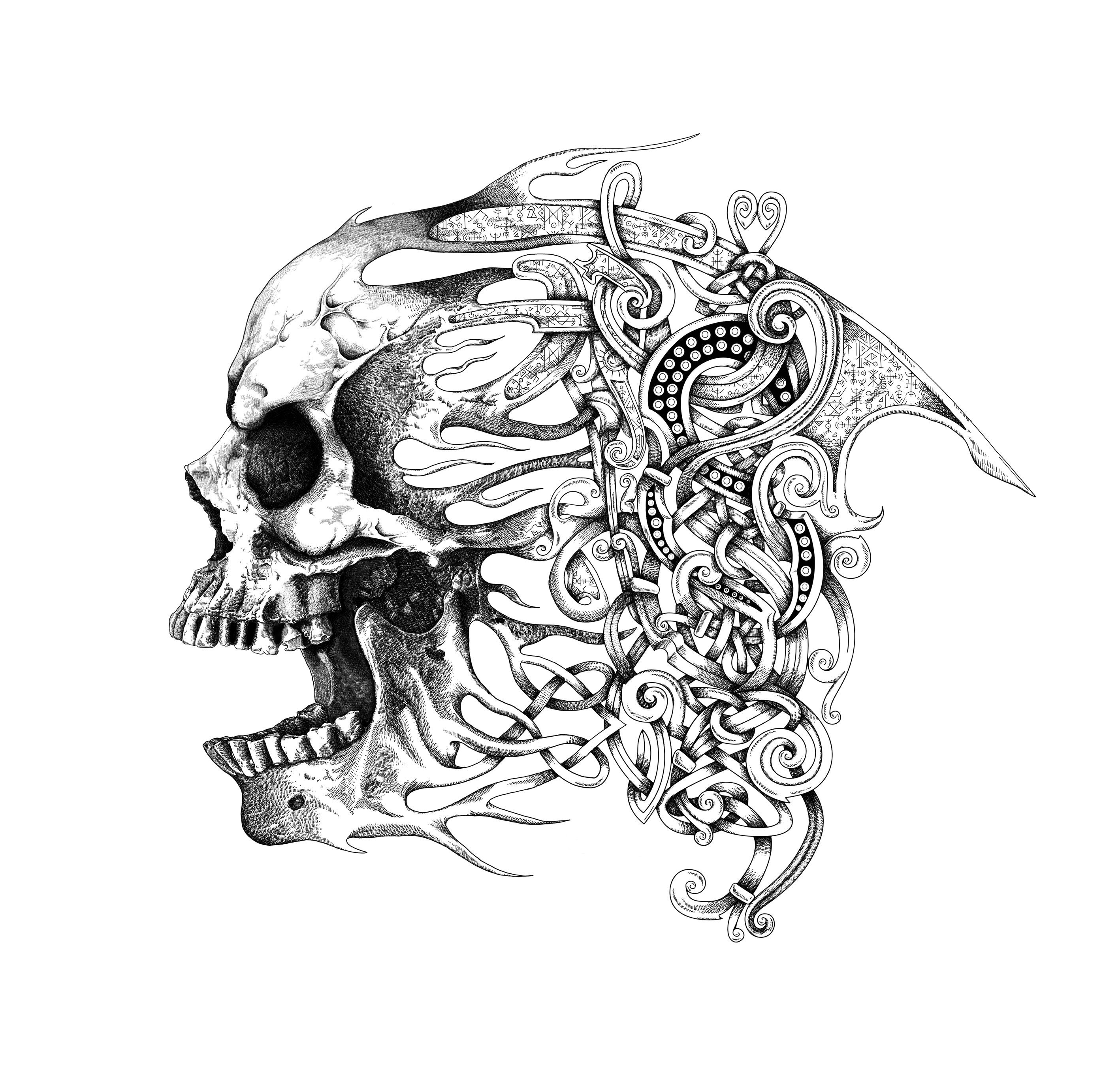 Infographiste indépendant, création d'illustrations pour tatouage avec crâne et entrelacs celtiques