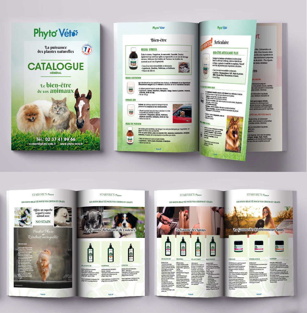 Infographiste indépendant, création et mise en page de catalogues de produits pour animaux