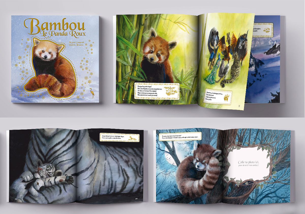 Infographiste indépendant, création et mise en page de livres jeunesse sur les animaux