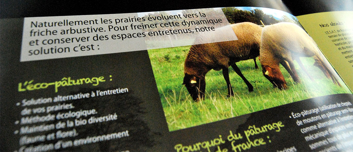 Infographiste indépendant, création et mise en page de plaquettes commerciales dépliant 2 volets Éco-pâturage Moutons