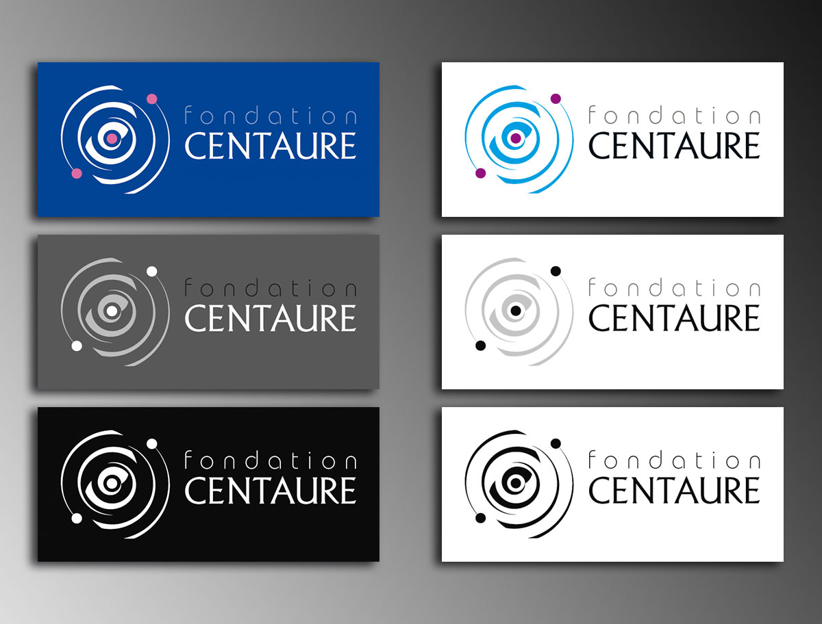 Infographiste indépendant, création de charte graphique, logo fondation scientifique