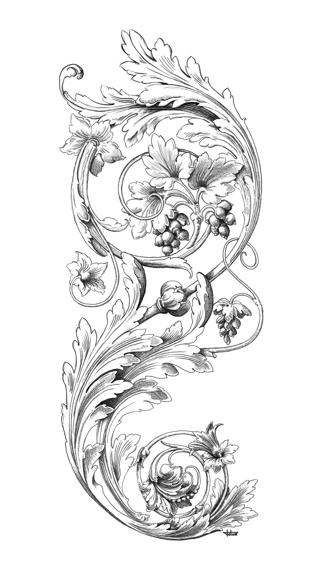Infographiste indépendant, création d'illustrations pour tatouage florale, fleur, plante