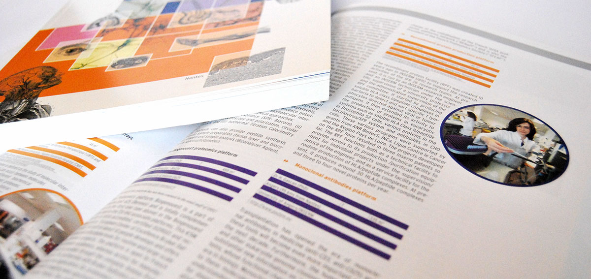 Infographiste indépendant, création et mise en page de rapports d'activité, science immunologique