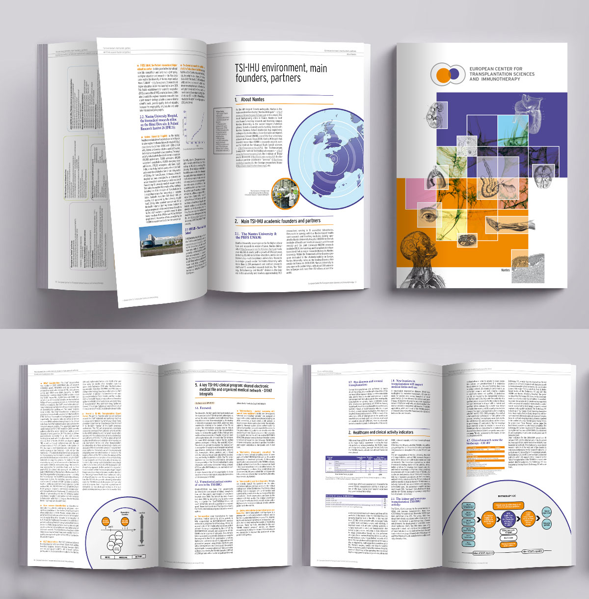 Infographiste indépendant, création et mise en page de rapports d'activité, science et transplantation